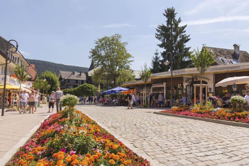 Waldoase Titisee 外观 照片