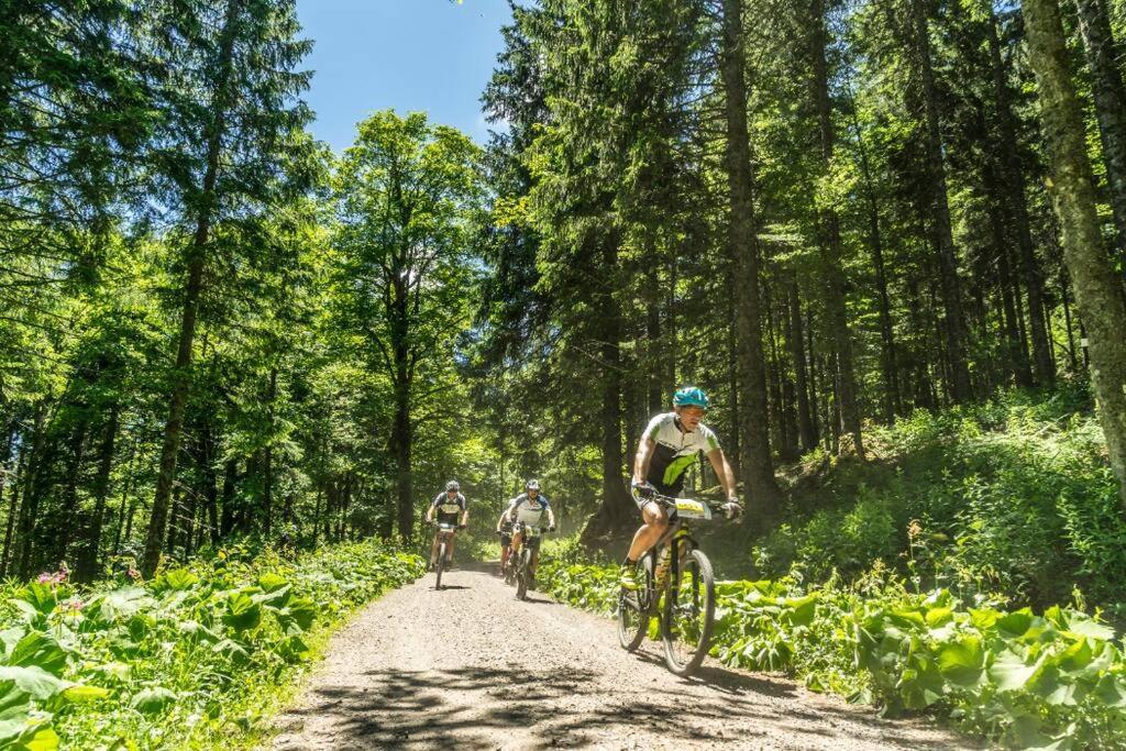 Waldoase Titisee 外观 照片