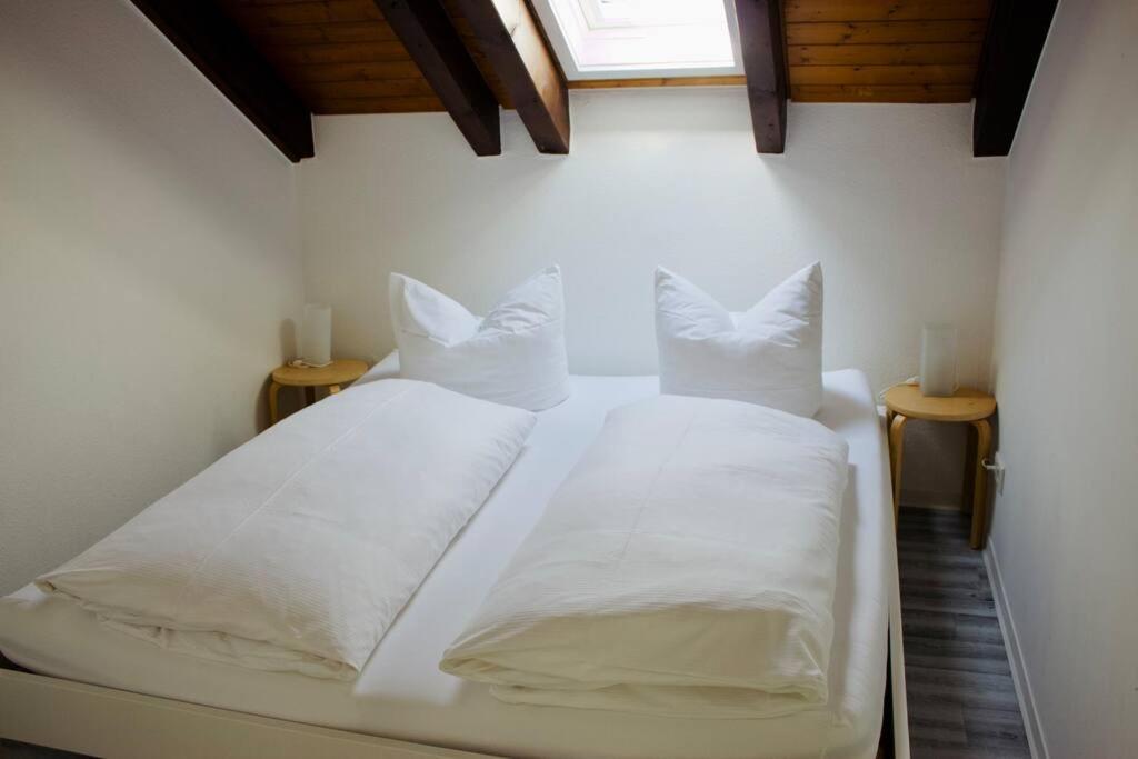 Waldoase Titisee 外观 照片