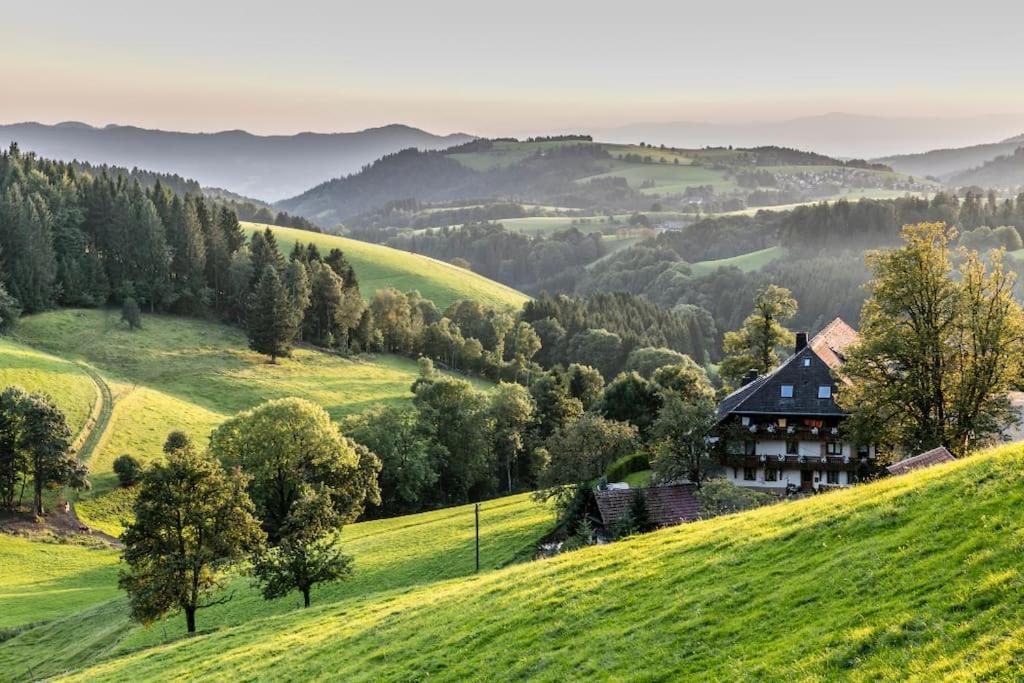 Waldoase Titisee 外观 照片