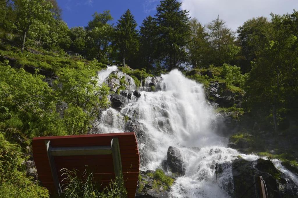 Waldoase Titisee 外观 照片